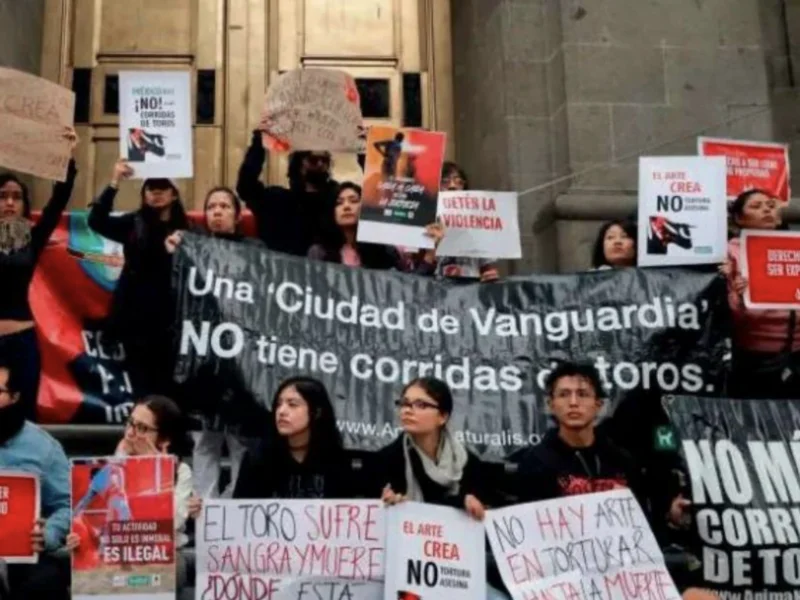 captura de pantalla 2024 02 23 a las 9.27.15 a.m