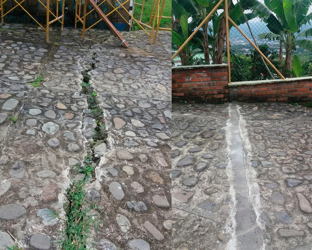 hay fallas en fundaciones que atienden ancianos de dosquebradas secretaria sandra yulieth posada image 2