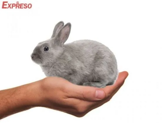 mundo salud no tiene con que pagar a los trabajadores de la salud msalid123009144