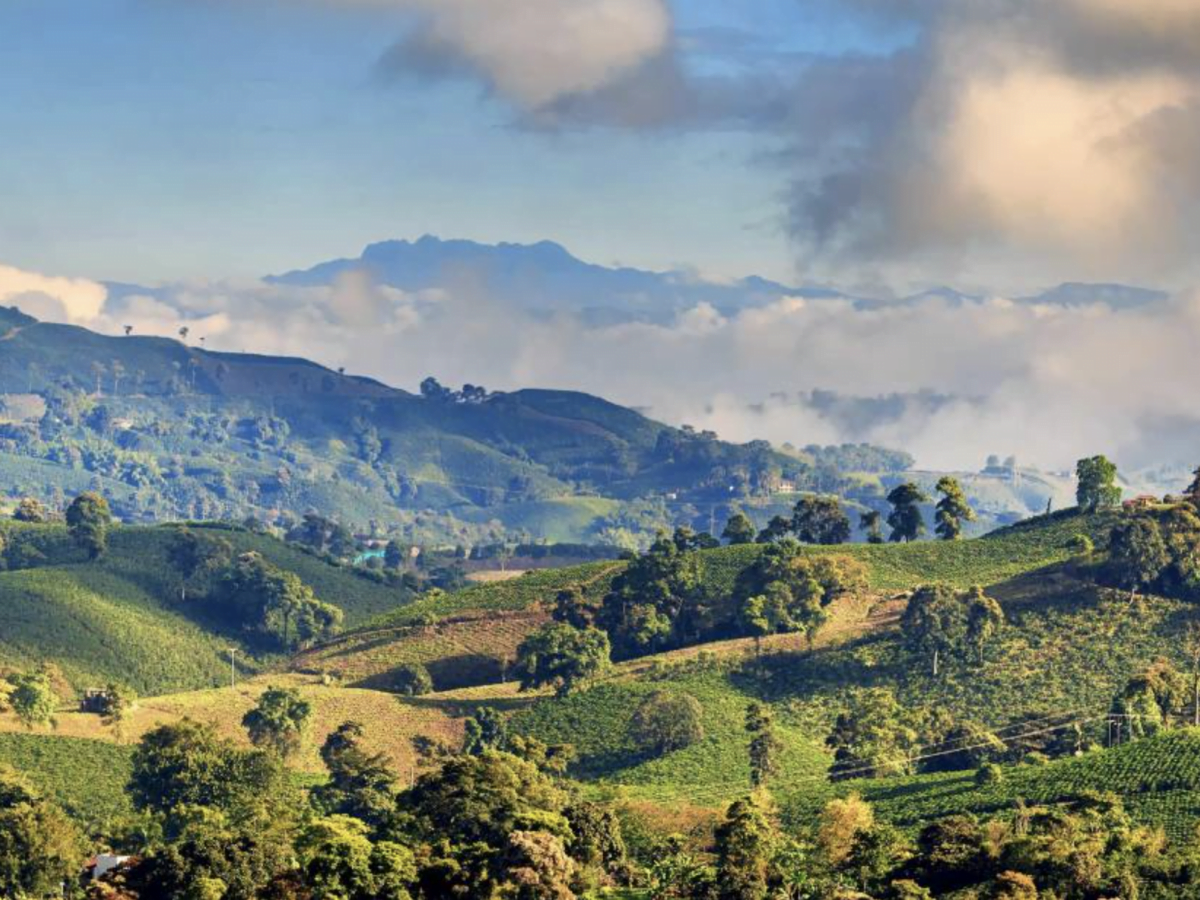 Risaralda: Territorio Triétnico y Diverso con Apoyo de la CARDER en Protección de Comunidades