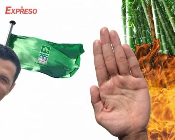 queman un guadual lo reconocen y la carder no sanciona julai12ccas1234ca