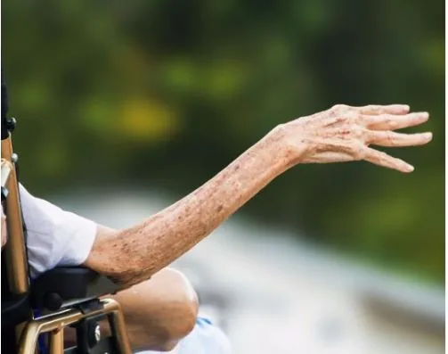 seria interesante saber como invirtieron los recursos de los ancianos y ninos en dosquebradas anico123123