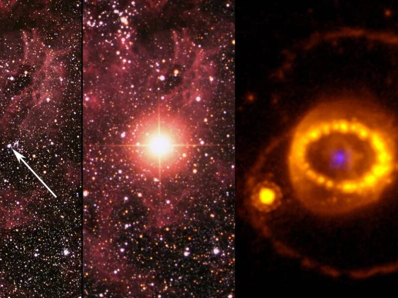 un hit en la investigacion del cosmos telescopio webb de la nasa revela estrella de neutrones en el corazon de una supernova detectada una estrella de neutrones en los restos de la supernova mas estud