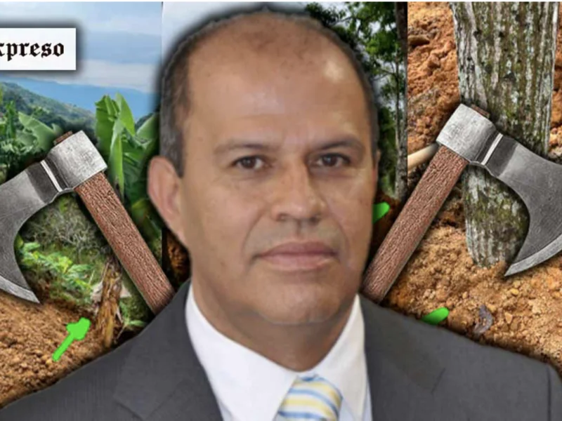 carder suspendio obra del viaducto la paz por deteriorar el medio ambiente y derribar arboles sin permisos captura de pantalla 2024 03 04 a las 9.18.59 a. m