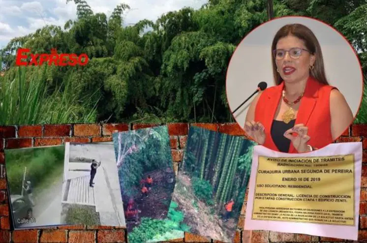 coldecon con licencia para construir sobre el bosque de alamos clpmi3124n13epatoin12