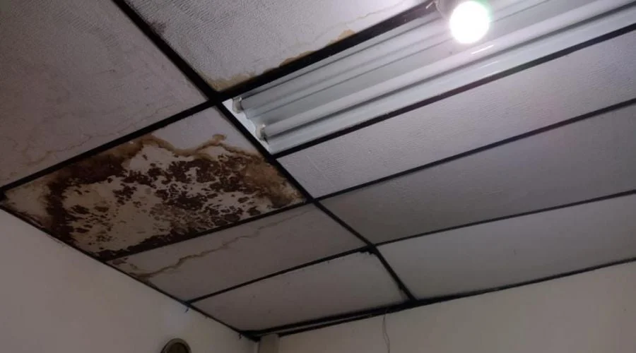 contraloria inspecciona hoy todas las instituciones educativas de dosquebradas para verificar el estado de las instalaciones img hywxdsmgdab w4gdpa4dmdp07res4biij7ygexl 6au63a0nnzurmuovf46x6 gj6jb4goy