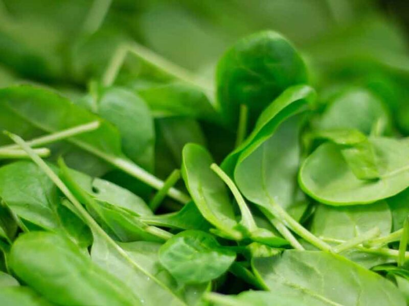 descubre los beneficios de las espinacas para tu salud y bienestar espianaca213