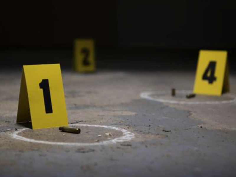 en bogota delincuentes grabaron atentado sicarial que cometieron en una carniceria web 77