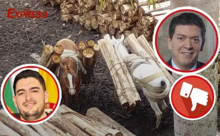 faton314ine130912ncnca123