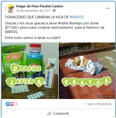 hermana de funcionario cobro millones a la alcaldia de dosquebradas por atender perros que otros pagaban perritu123456
