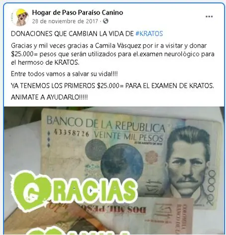 hermana de funcionario cobro millones a la alcaldia de dosquebradas por atender perros que otros pagaban perritu1234567