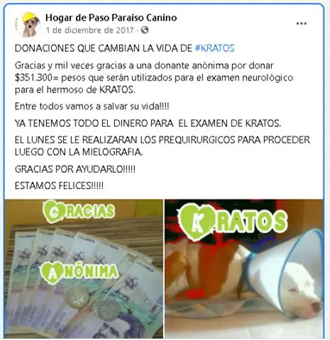 hermana de funcionario cobro millones a la alcaldia de dosquebradas por atender perros que otros pagaban perritu12345678