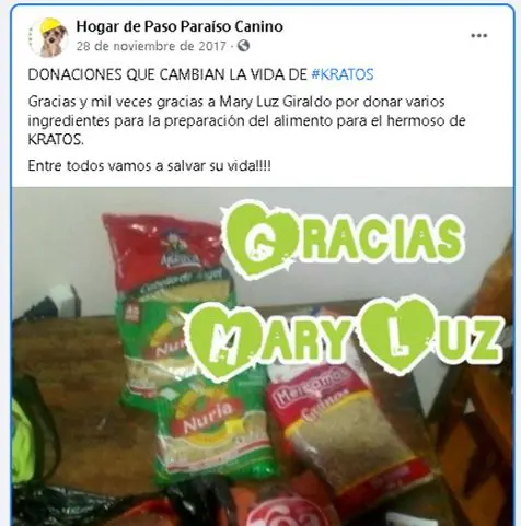 hermana de funcionario cobro millones a la alcaldia de dosquebradas por atender perros que otros pagaban perritu1234567891
