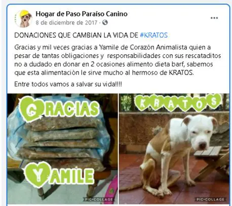 hermana de funcionario cobro millones a la alcaldia de dosquebradas por atender perros que otros pagaban perritu12345678912