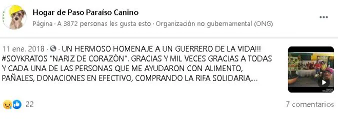 hermana de funcionario cobro millones a la alcaldia de dosquebradas por atender perros que otros pagaban perritu123456789123