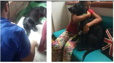 hermana de funcionario cobro millones a la alcaldia de dosquebradas por atender perros que otros pagaban perritu1234567891234
