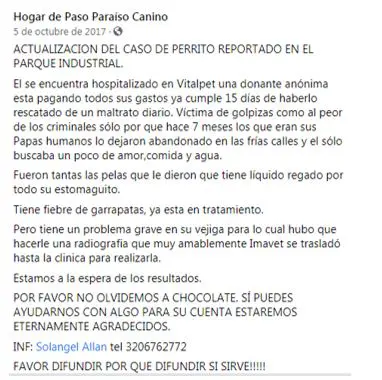 hermana de funcionario cobro millones a la alcaldia de dosquebradas por atender perros que otros pagaban perritu12345678912345678