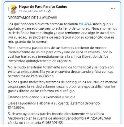 hermana de funcionario cobro millones a la alcaldia de dosquebradas por atender perros que otros pagaban perritu1234567891234567891