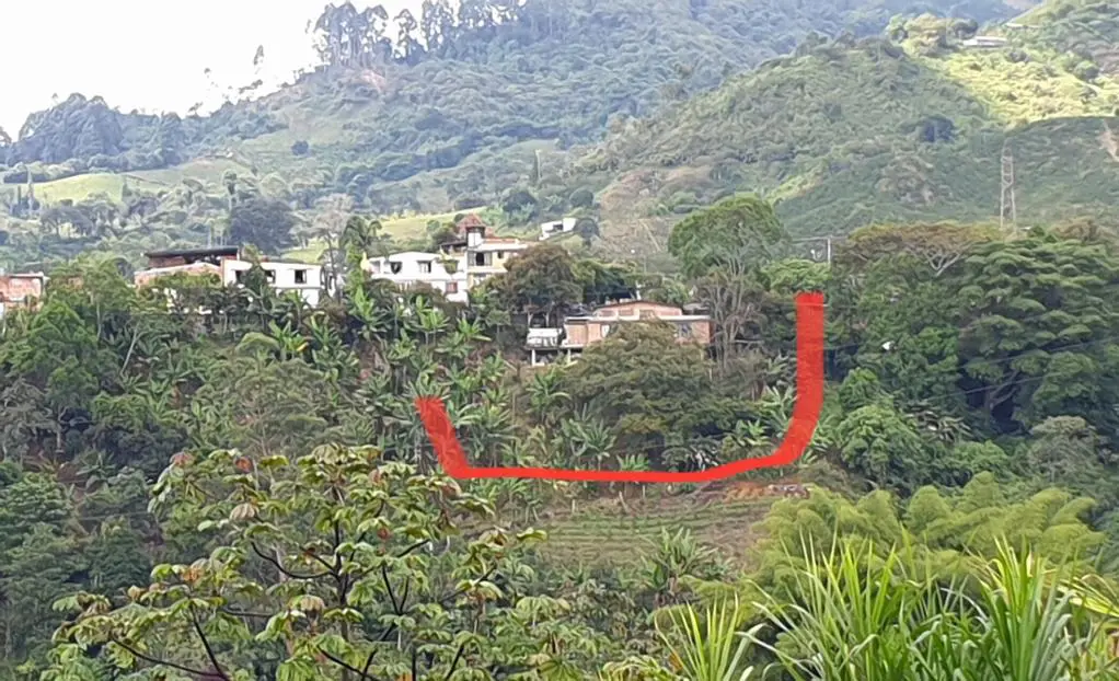 Invasores construyen casas sobre ladera del río en el Campestre 2 invasores construyen casas sobre ladera del rio en el campestre image 1