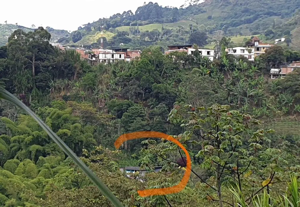 Invasores construyen casas sobre ladera del río en el Campestre 4 invasores construyen casas sobre ladera del rio en el campestre image