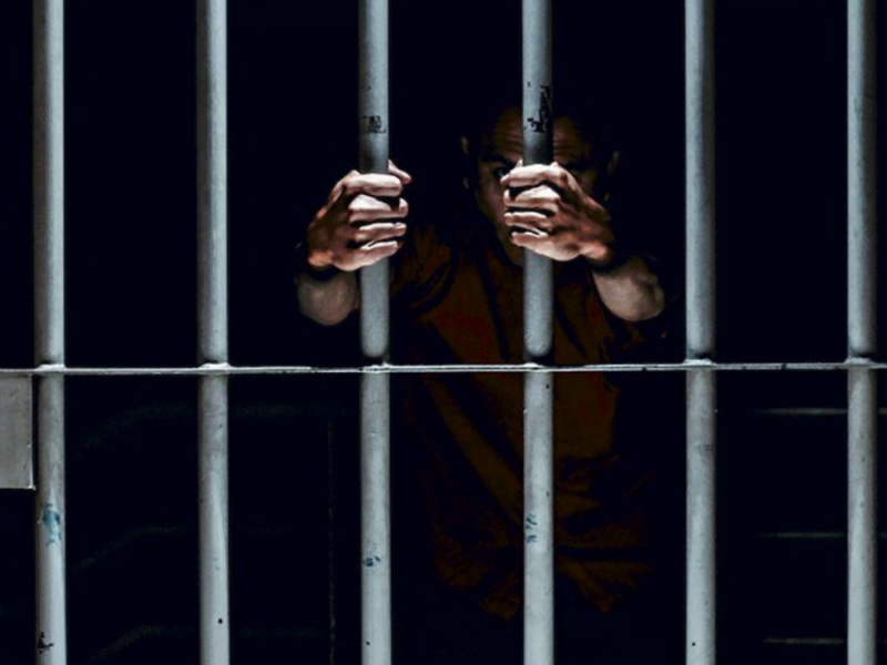 panel implementacion de penas alternativas a la prision intramural web 20240313 161713 0000