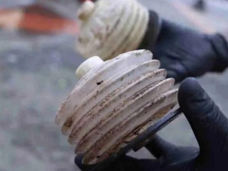 encuentran termos infestados de cucarachas en operativo a vendedores ambulantes en pereira encuentran termos infestados de cucarachas en operativo a vendedores ambulantes en pereira web 2024 05 29t120