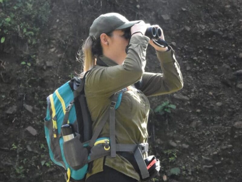 risaralda y el drmi cuchilla del san juan brillan en el global big day un aporte destacado a la observacion de aves en colombia risaralda y el drmi cuchilla del san juan brillan en el global big day u