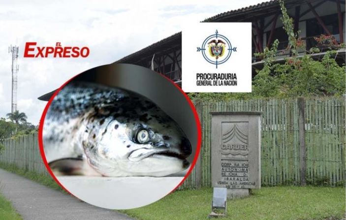 senores de la carder que paso con pez fresco clppiepeza1