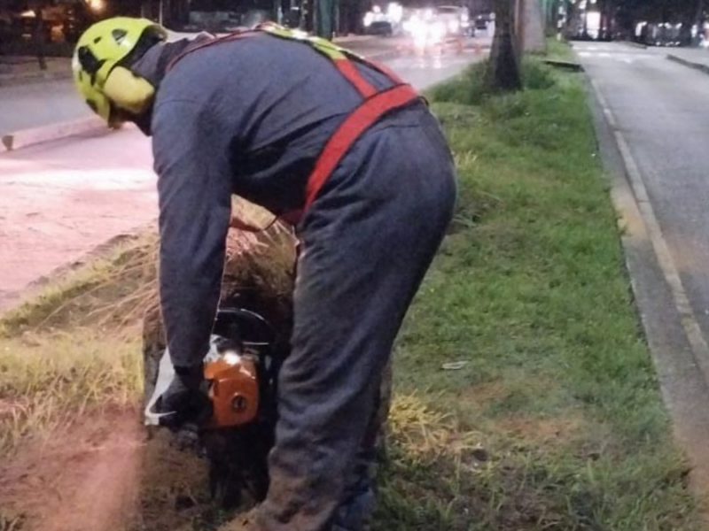 web 2024 05 06t144528.114