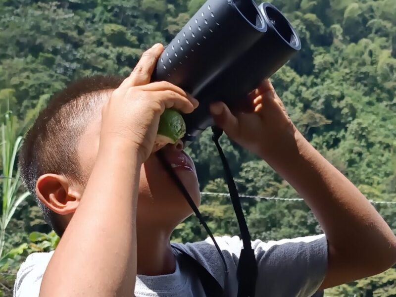 Semilleros de observadores de aves: un impulso para la conservación en el DRMI Cuchilla del San Juan