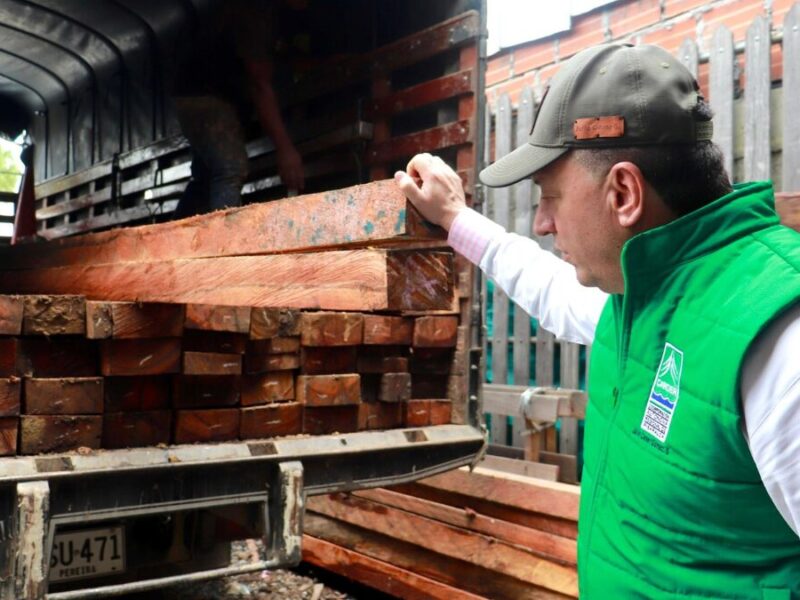 La CARDER continúa haciéndole frente a la comercialización de madera ilegal