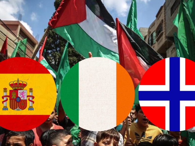 web 2024 05 22t085704.738