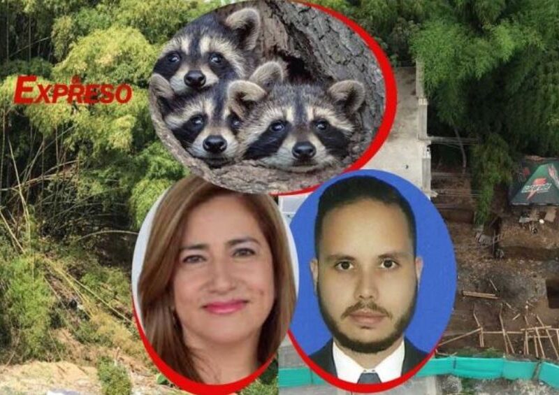 en pereira talan guaduales para construir con la complicidad de la carder y control fisico clpakjn1423in412