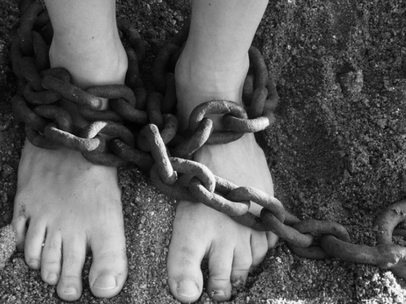 web 2024 06 18t114309.897