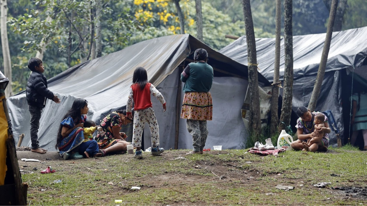 joven de la comunidad embera denuncio agresion de su pareja en el parque nacional web 20240726 140427 0000