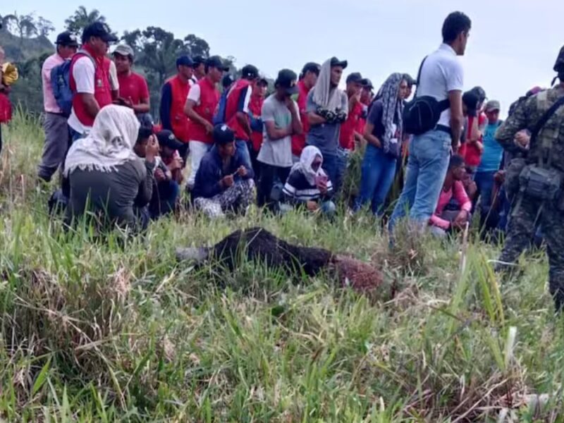 cerca de 100 soldados estan retenidos en san jose del guaviare cerca de 100 soldados estan retenidos en san jose del guaviare web 2024 08 10t084937.772