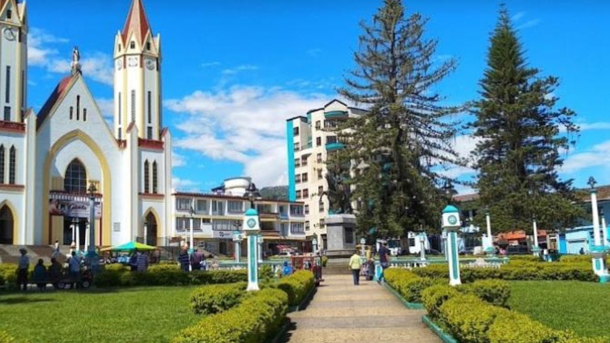 el parque de las araucarias en santa rosa de cabal seguira siendo de la gente copia de web 2024 08 16t144034.548