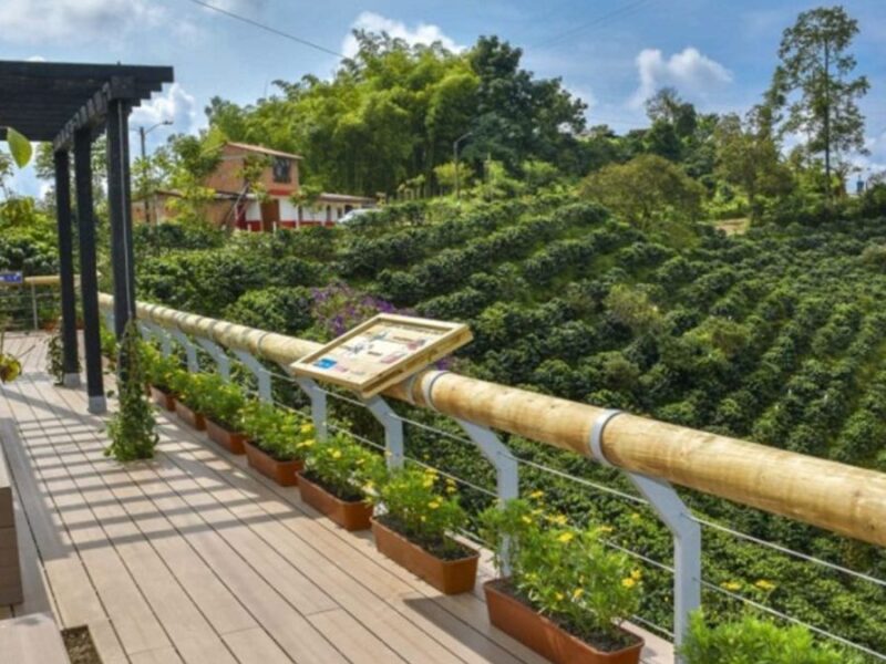 la gobernacion de risaralda visito a la mujer estrella 2024 en la vereda la union copia de web 2024 08 20t115311.910 1