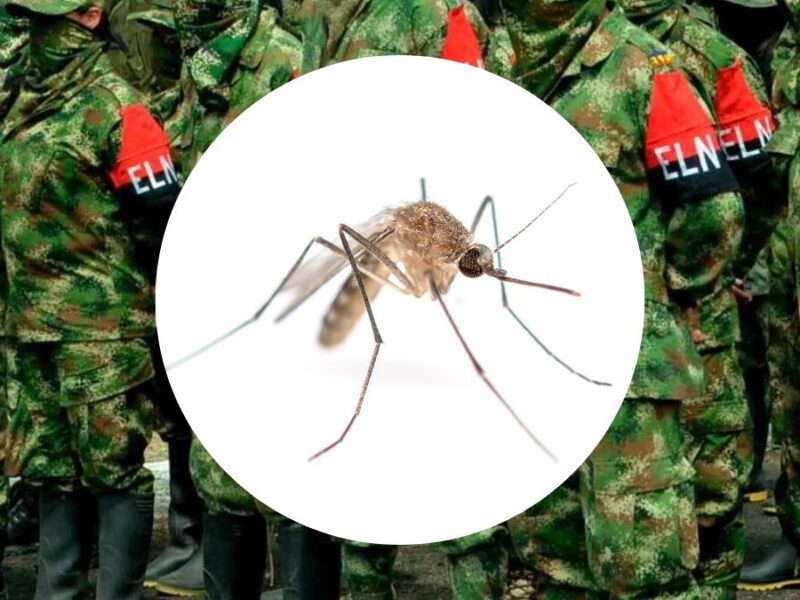 paro armado del eln agrava brote de paludismo en choco paro armado del eln agrava brote de paludismo en choco web 2024 08 21t102200.923