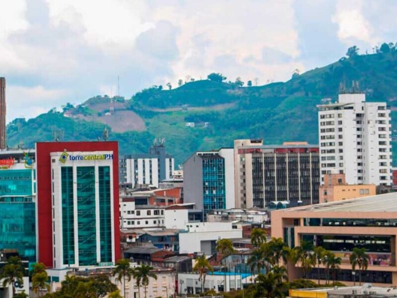 pereira es el segundo mejor vivero de colombia pereira es el segundo mejor vivero de colombia web 2024 08 13t192015.344