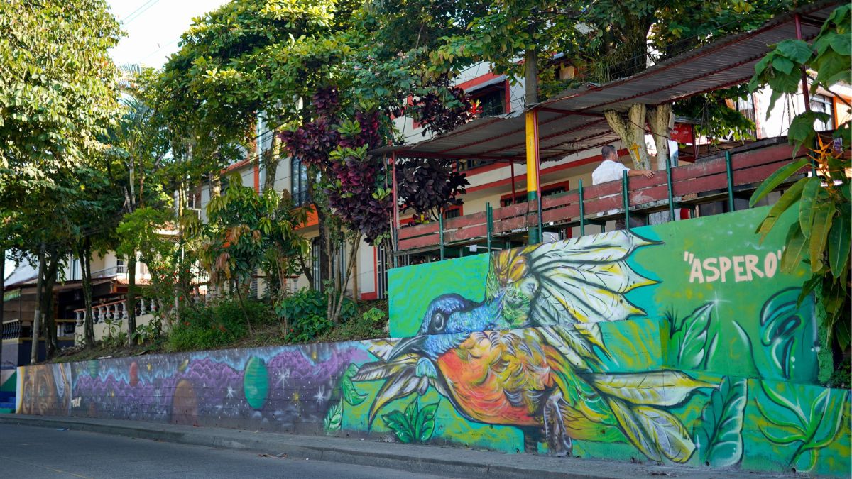 pereira se llena de color y arte con el programa los colores de mi barrio copia de web 2024 08 30t123843.532