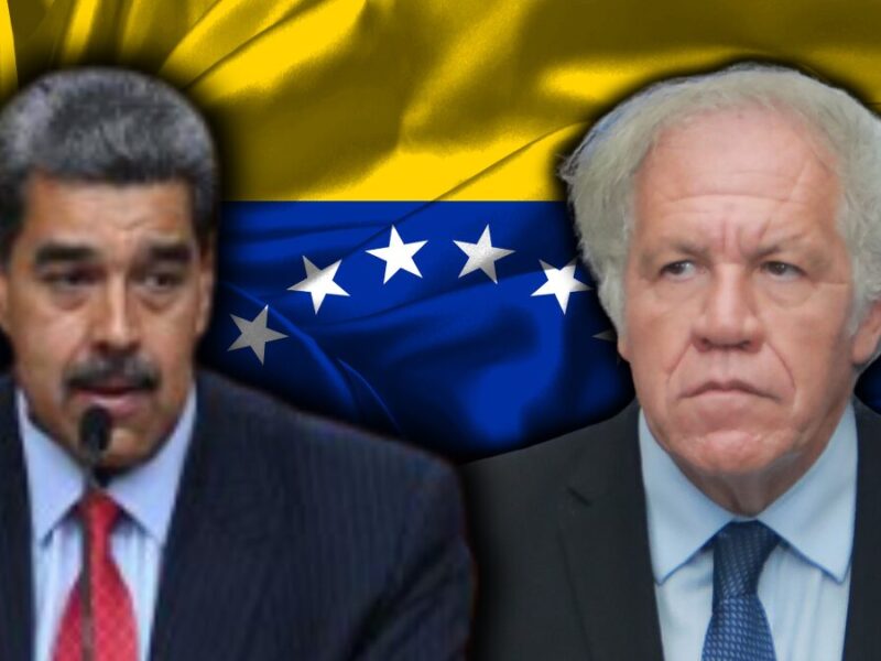 web 2024 08 01t155939.834