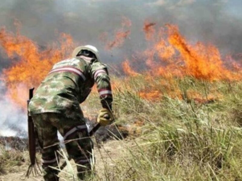 colombia enfrenta una crisis ambiental con 29 incendios forestales activos colombia enfrenta una crisis ambiental con 29 incendios forestales activos web 2024 09 23t141820.513