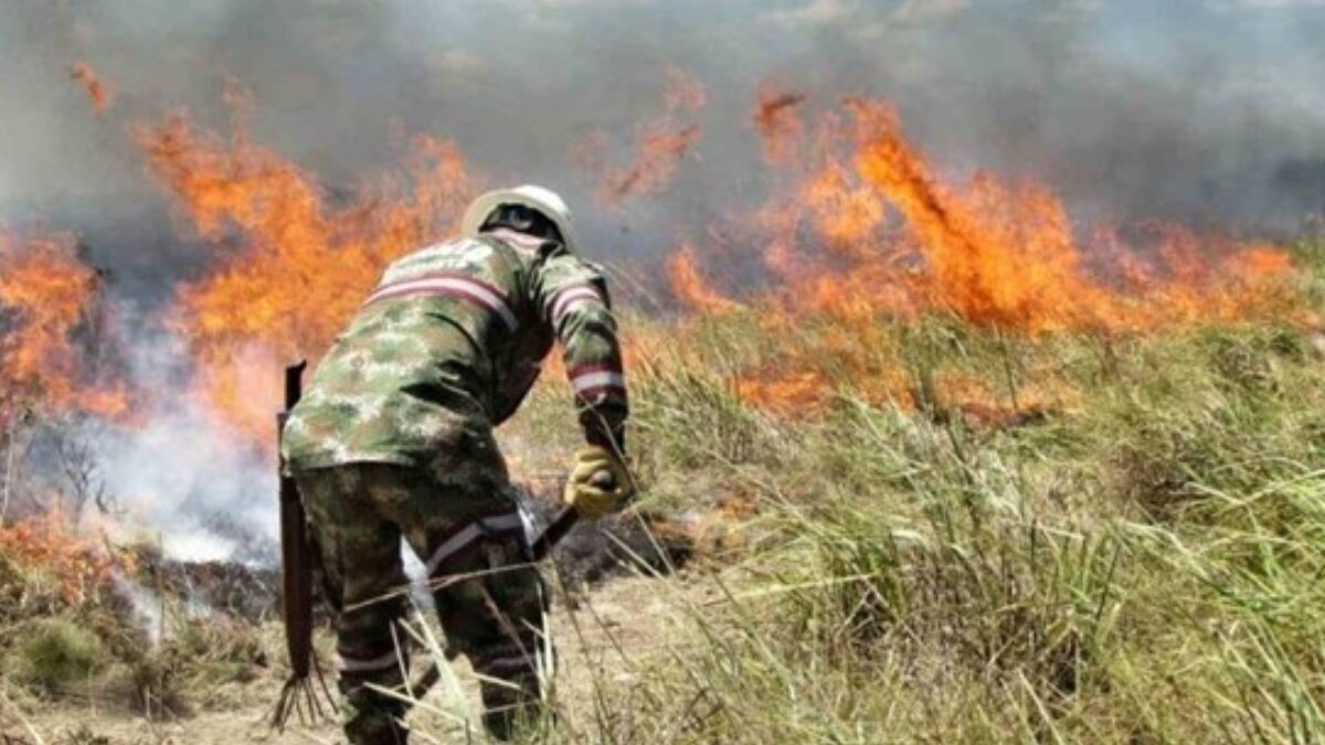 colombia enfrenta una crisis ambiental con 29 incendios forestales activos colombia enfrenta una crisis ambiental con 29 incendios forestales activos web 2024 09 23t141820.513