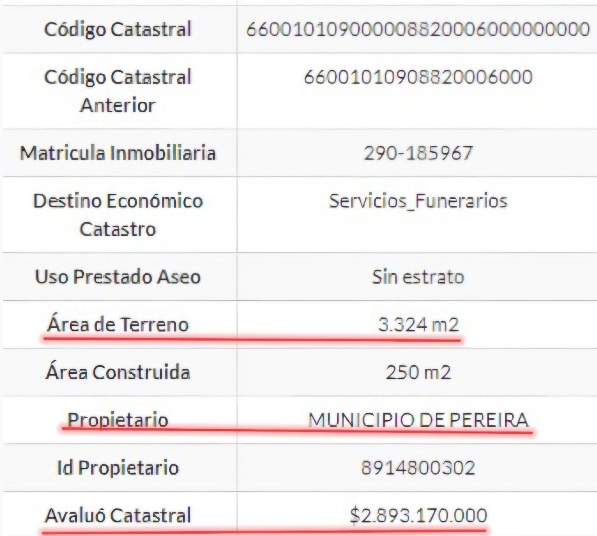 el nogal club residencial invade predios del municipio hace anos cuando los recuperan whatsapp image 2024 09 19 at 5.36.16 pm