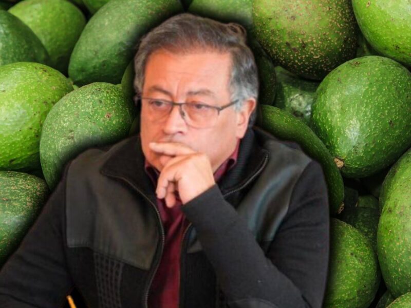 fake newspetro publica video equivocado sobre produccion de aguacate en montes de maria fake newspetro publica video equivocado sobre produccion de aguacate en montes de maria web 2024 09 26t092010.46