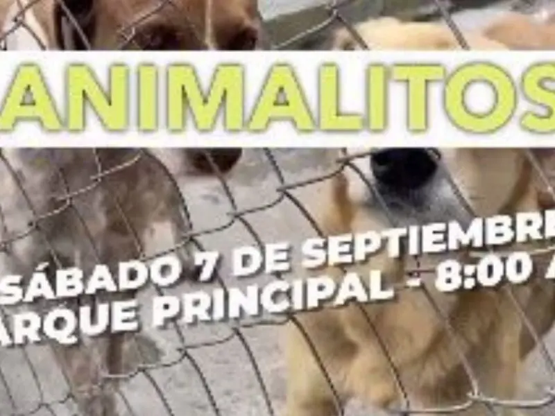 gran donaton por los peluditos de santa rosa de cabal copia de web 2024 09 11t215617.998