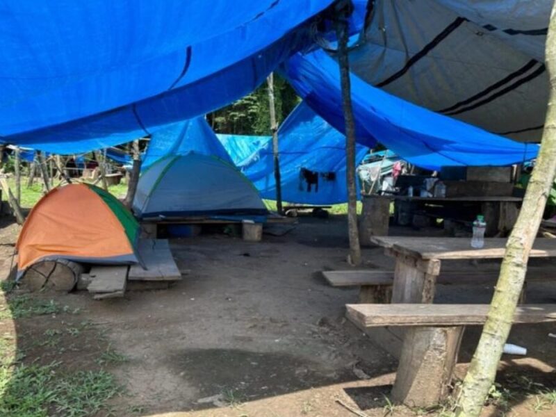 hallan campamento clandestino en el darien manejado por economias ilicitas hallan campamento clandestino en el darien manejado por economias ilicitas web 2024 09 03t160910.960