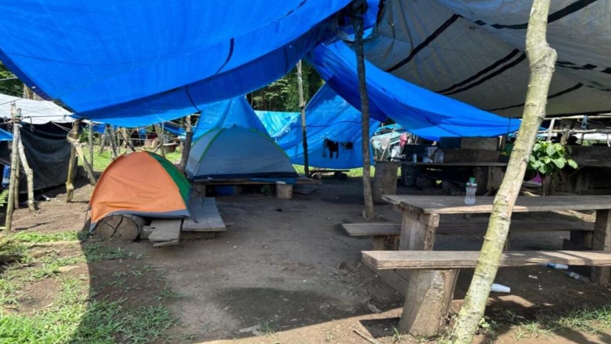 hallan campamento clandestino en el darien manejado por economias ilicitas hallan campamento clandestino en el darien manejado por economias ilicitas web 2024 09 03t160910.960