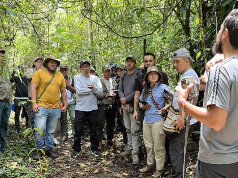 La CARDER monitoreo de Puma y Oso Andino en el DRMI Cuchilla del San Juan y el PNN Tatamá